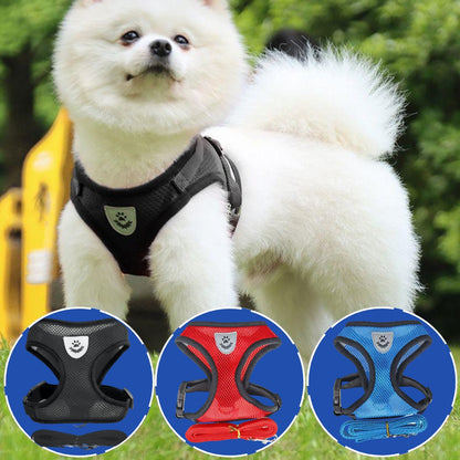 Arnés Pechera Chaleco Para Perro Y Gato
