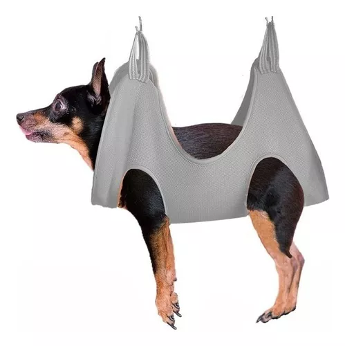 Arnés Para Perros Gatos