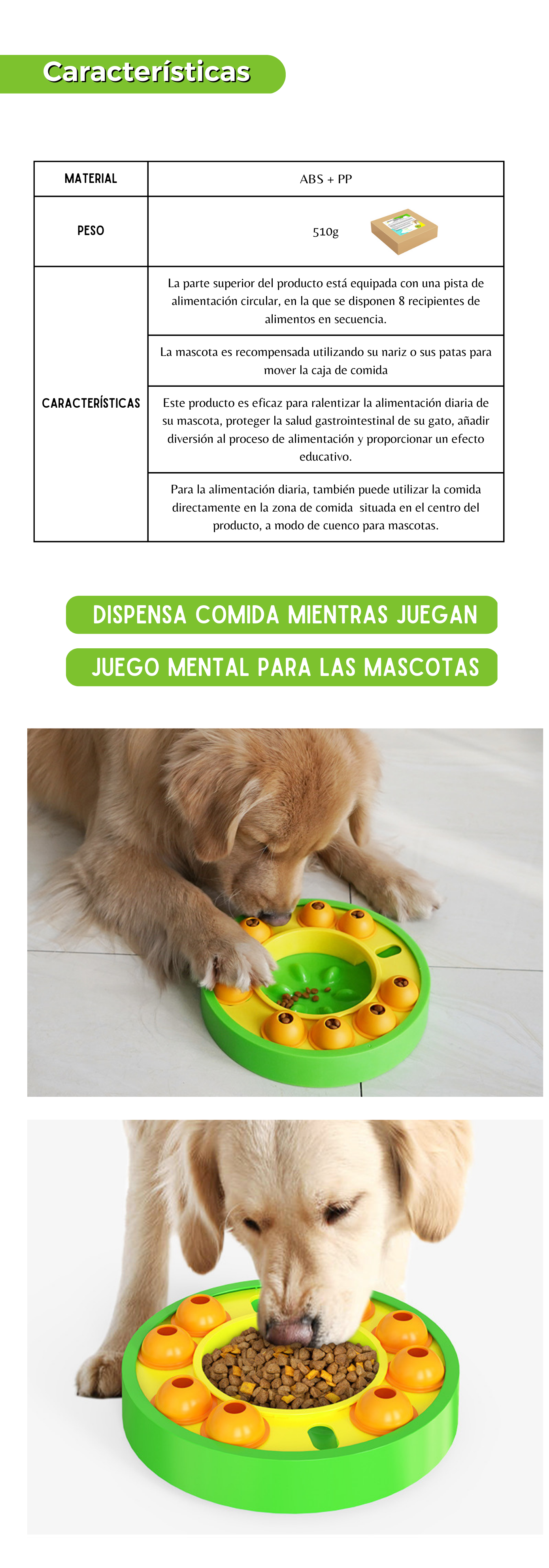Placa interactiva Bubble