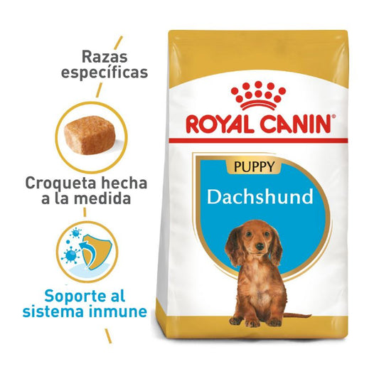 Royal Canin Dachshund cachorro 1.13 kg