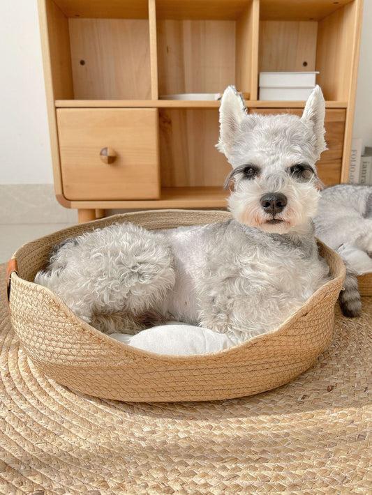 Cama canasto Pets