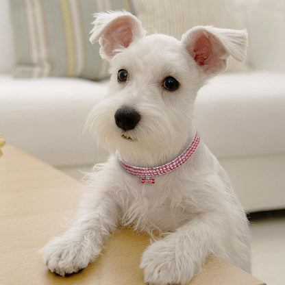 Collar huesito diamantes para perros y gatos